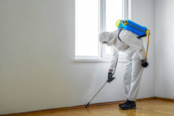 Best Bed Bug Extermination  in Marianne, PA